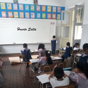 Articulación de Sala de 5 con 1° grado