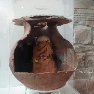 Visita al Museo de Antropología (Primaria)
