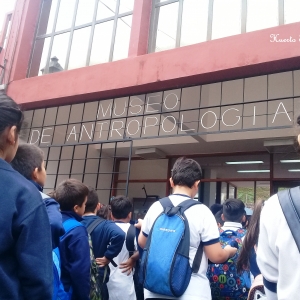 Visita al Museo de Antropología (Primaria)