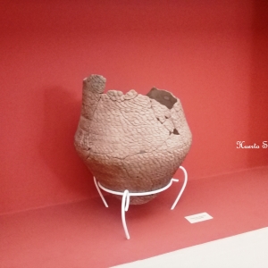 Visita al Museo de Antropología (Primaria)